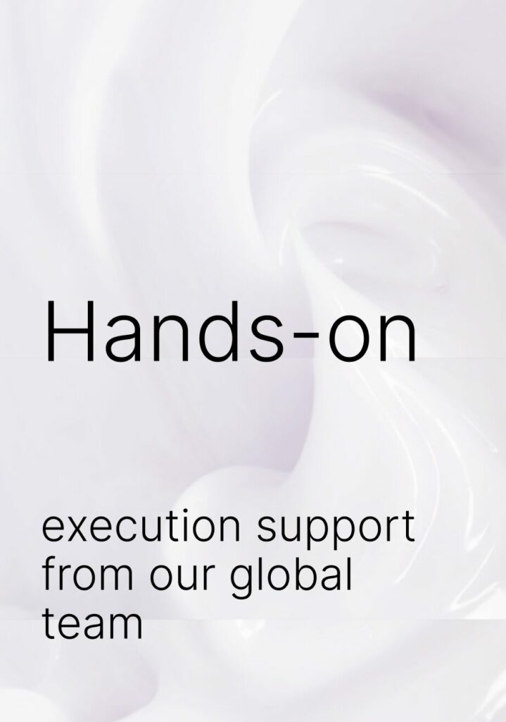 Hands-on execution support from our global team