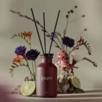 ipuro room fragrance diffuser with reed sticks